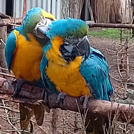 Zoo House Near Billund Legoland