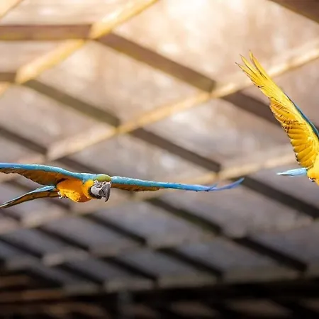 Zoo House Near Billund Legoland * Grindsted