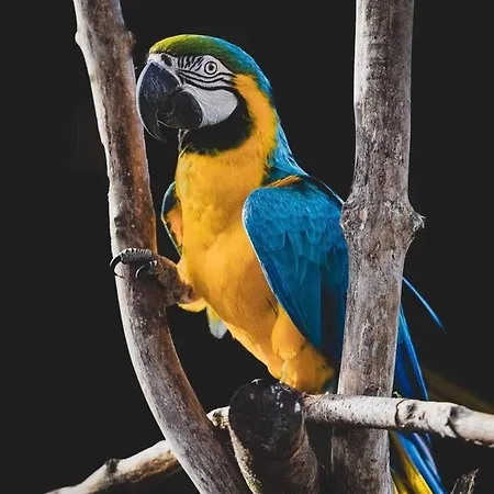 Apartamento Zoo House Near Billund Legoland *