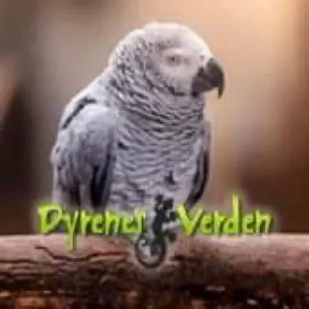 Zoo House Near Billund Legoland Apartamento Grindsted