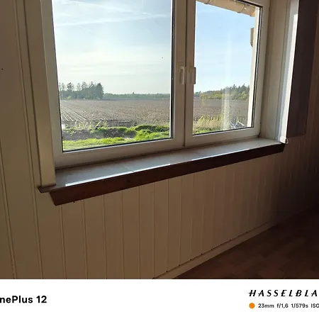 Zoo House Near Billund Legoland Apartment