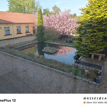 Zoo House Near Billund Legoland Apartment